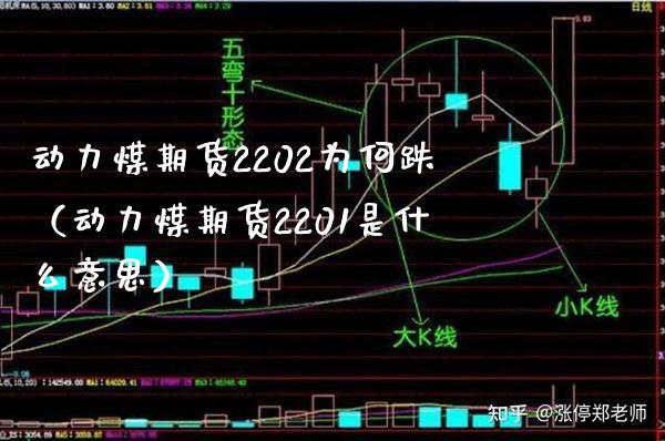 动力煤期货2202为何跌（动力煤期货2201是什么意思）_https://www.xmqjcw.com_期货投资_第1张