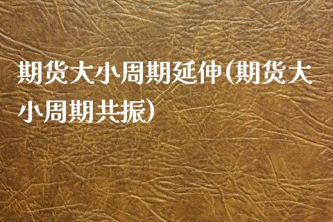 期货大小周期延伸(期货大小周期共振)_https://www.xmqjcw.com_期货百科_第1张