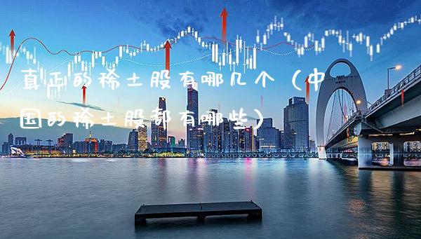 真正的**股有哪几个（中国的**股都有哪些）_https://www.xmqjcw.com_期货直播室_第1张