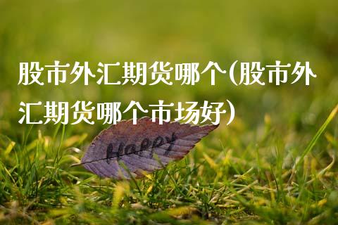 股市外汇期货哪个(股市外汇期货哪个市场好)_https://www.xmqjcw.com_期货百科_第1张