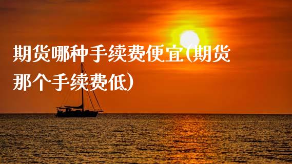 期货哪种手续费便宜(期货那个手续费低)_https://www.xmqjcw.com_期货百科_第1张