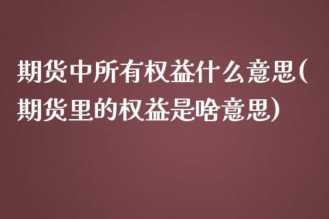 期货中所有权益什么意思(期货里的权益是啥意思)_https://www.xmqjcw.com_期货直播室_第1张