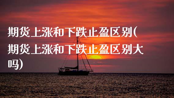 期货上涨和下跌止盈区别(期货上涨和下跌止盈区别大吗)_https://www.xmqjcw.com_期货百科_第1张