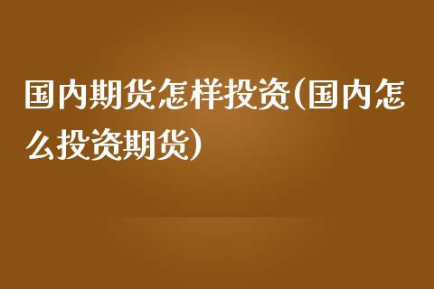 国内期货怎样投资(国内怎么投资期货)_https://www.xmqjcw.com_期货百科_第1张