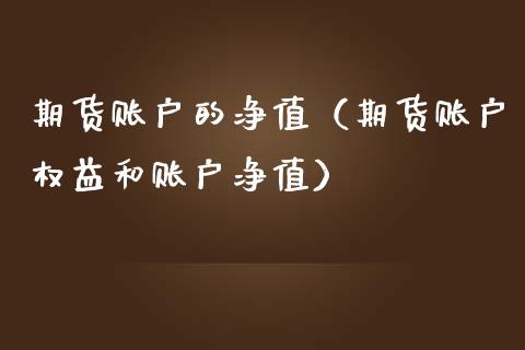 期货账户的净值（期货账户权益和账户净值）_https://www.xmqjcw.com_期货直播室_第1张