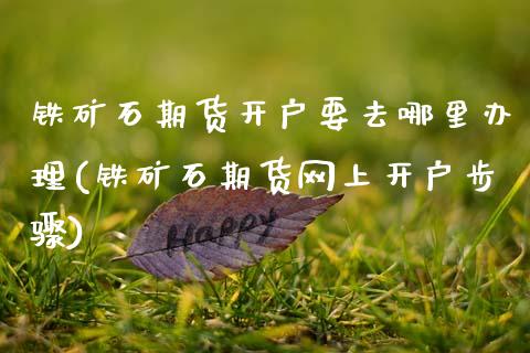 铁矿石期货开户要去哪里办理(铁矿石期货网上开户步骤)_https://www.xmqjcw.com_期货开户_第1张