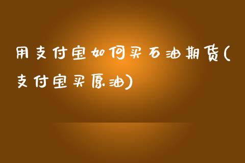 用支付宝如何买石油期货(支付宝买原油)_https://www.xmqjcw.com_期货开户_第1张