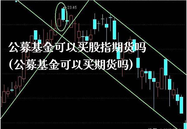公募基金可以买股指期货吗(公募基金可以买期货吗)_期货百科_第1张_秦聚理财 公募基金可以买股指期货吗(公募基金可以买期货吗)_https://www.xmqjcw.com_期货百科_第1张