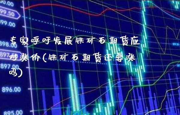 专家呼吁发展铁矿石期货应对涨价(铁矿石期货还要涨吗)_https://www.xmqjcw.com_期货百科_第1张