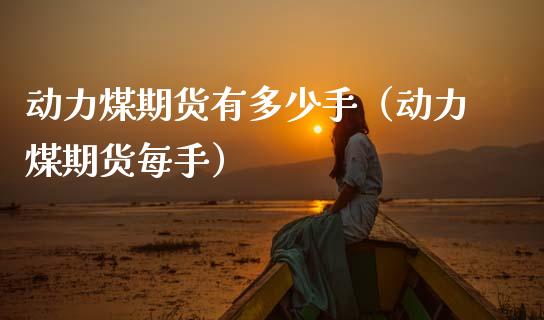 动力煤期货有多少手（动力煤期货每手）_https://www.xmqjcw.com_期货投资_第1张