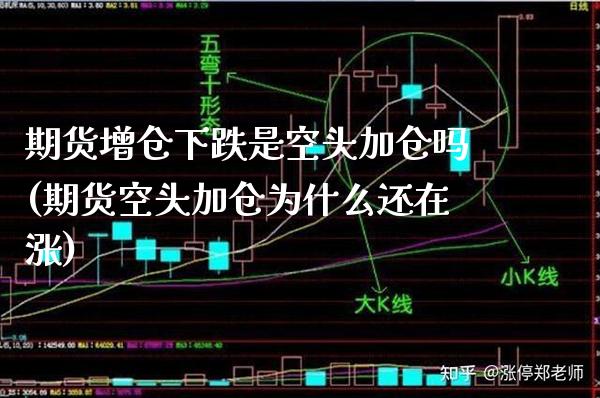 期货增仓下跌是空头加仓吗(期货空头加仓为什么还在涨)_https://www.xmqjcw.com_期货百科_第1张