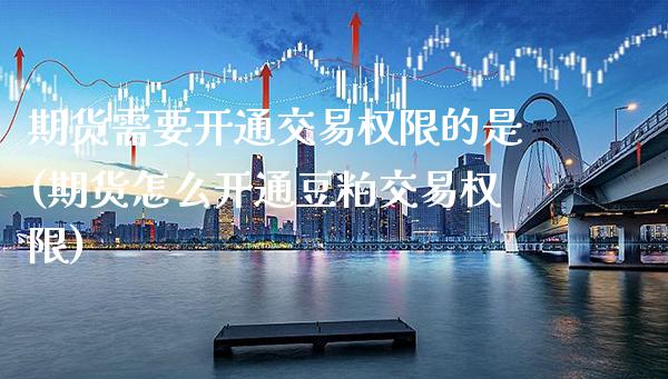 期货需要开通交易权限的是(期货怎么开通豆粕交易权限)_https://www.xmqjcw.com_期货百科_第1张