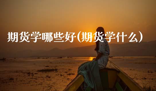 期货学哪些好(期货学什么)_https://www.xmqjcw.com_期货行情_第1张