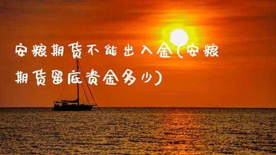 安粮期货不能出入金(安粮期货留底资金多少)_https://www.xmqjcw.com_期货百科_第1张