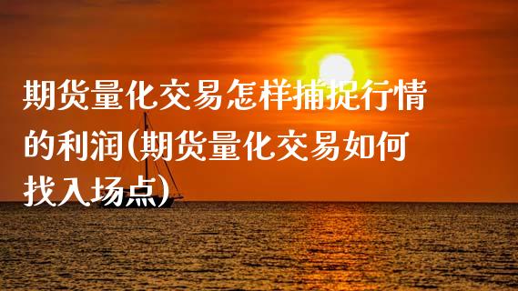 期货量化交易怎样捕捉行情的利润(期货量化交易如何找入场点)_https://www.xmqjcw.com_基金理财_第1张