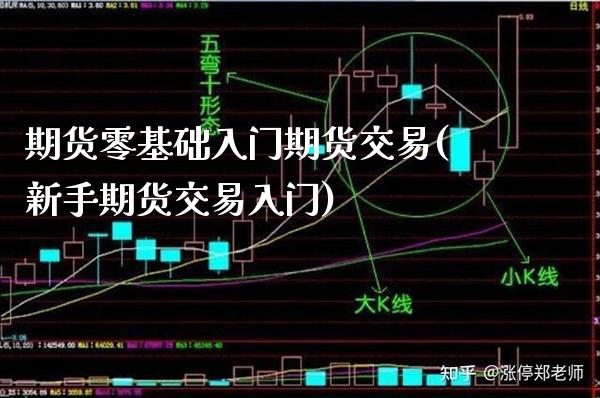 期货零基础入门期货交易(新手期货交易入门)_https://www.xmqjcw.com_期货百科_第1张
