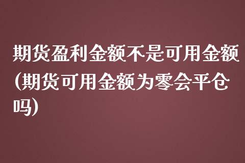 期货盈利金额不是可用金额(期货可用金额为零会平仓吗)_https://www.xmqjcw.com_期货投资_第1张