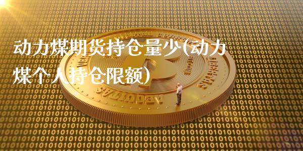 动力煤期货持仓量少(动力煤个人持仓限额)_https://www.xmqjcw.com_期货行情_第1张