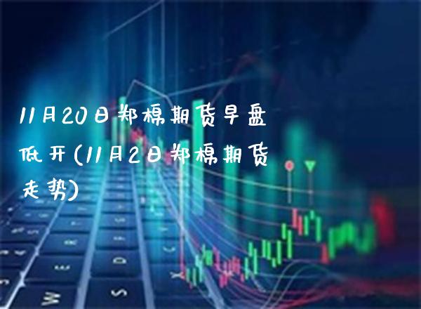 11月20日郑棉期货早盘低开(11月2日郑棉期货走势)_https://www.xmqjcw.com_股票投资_第1张