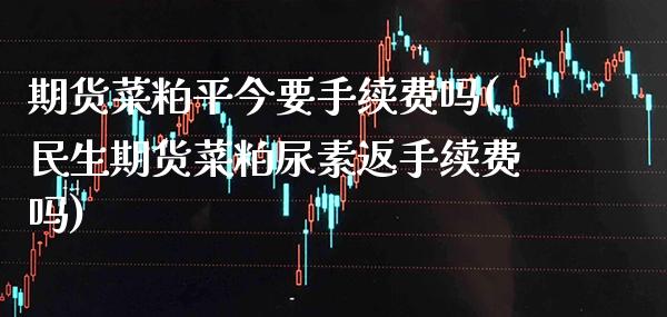 期货菜粕平今要手续费吗(民生期货菜粕尿素返手续费吗)_https://www.xmqjcw.com_期货行情_第1张