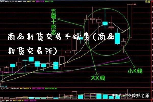 商品期货交易手续费(商品期货交易所)_https://www.xmqjcw.com_期货直播室_第1张