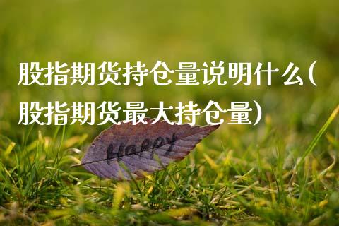 股指期货持仓量说明什么(股指期货最大持仓量)_https://www.xmqjcw.com_期货投资_第1张