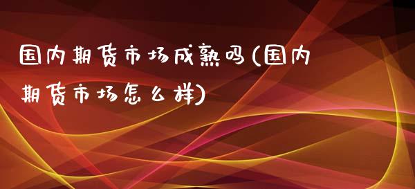 国内期货市场成熟吗(国内期货市场怎么样)_https://www.xmqjcw.com_期货百科_第1张