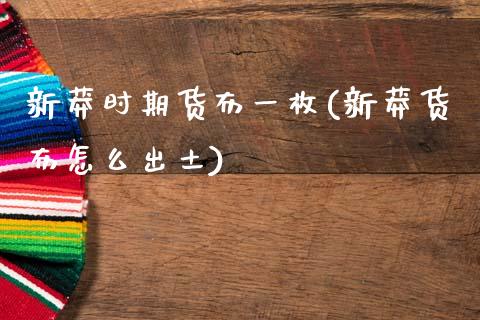 新莽时期货布一枚(新莽货布怎么出土)_https://www.xmqjcw.com_期货百科_第1张