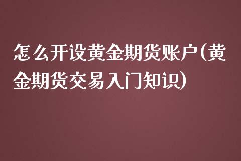 怎么开设黄金期货账户(黄金期货交易入门知识)_https://www.xmqjcw.com_期货百科_第1张