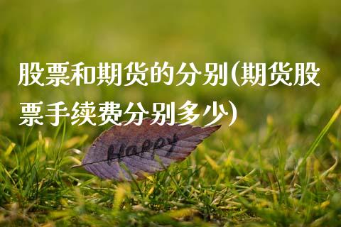 股票和期货的分别(期货股票手续费分别多少)_https://www.xmqjcw.com_期货百科_第1张