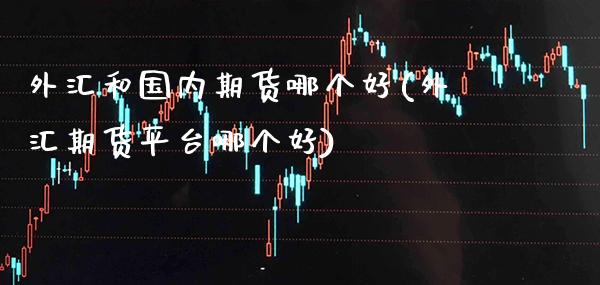 外汇和国内期货哪个好(外汇期货平台哪个好)_https://www.xmqjcw.com_期货行情_第1张