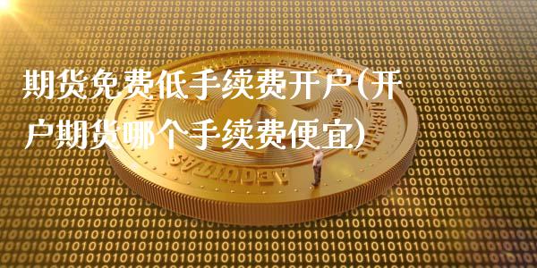 期货免费低手续费开户(开户期货哪个手续费便宜)_https://www.xmqjcw.com_期货百科_第1张