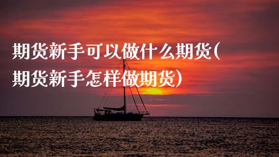 期货新手可以做什么期货(期货新手怎样做期货)_https://www.xmqjcw.com_股票投资_第1张
