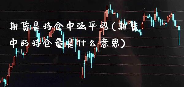期货是持仓中强平吗(期货中的持仓量是什么意思)_https://www.xmqjcw.com_期货百科_第1张