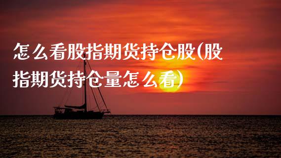 怎么看股指期货持仓股(股指期货持仓量怎么看)_https://www.xmqjcw.com_期货开户_第1张