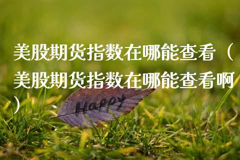 美股期货指数在哪能查看（美股期货指数在哪能查看啊）_https://www.xmqjcw.com_期货直播室_第1张