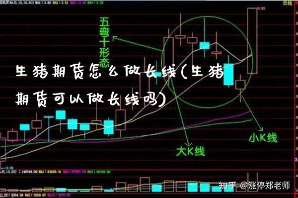 生猪期货怎么做长线(生猪期货可以做长线吗)_https://www.xmqjcw.com_期货直播室_第1张