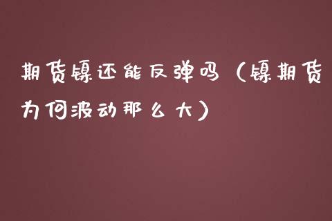 期货镍还能反弹吗（镍期货为何波动那么大）_https://www.xmqjcw.com_期货行情_第1张