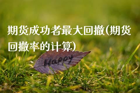 期货成功者最大回撤(期货回撤率的计算)_https://www.xmqjcw.com_基金理财_第1张