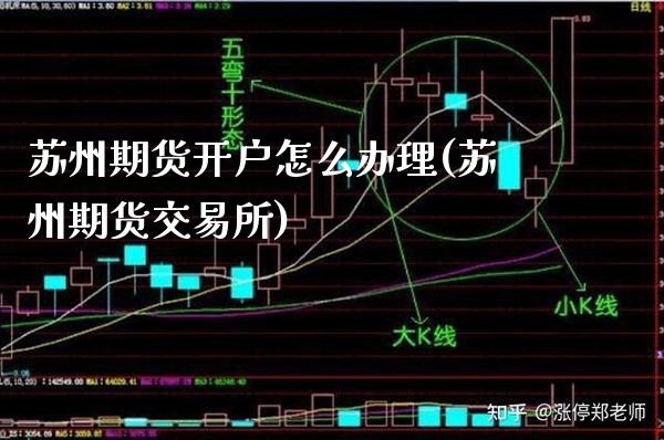苏州期货开户怎么办理(苏州期货交易所)_https://www.xmqjcw.com_期货投资_第1张