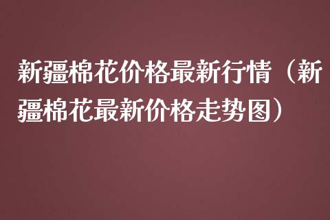 新疆棉花价格最新行情（新疆棉花最新价格走势图）_https://www.xmqjcw.com_期货直播室_第1张