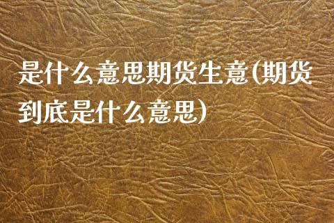 是什么意思期货生意(期货到底是什么意思)_https://www.xmqjcw.com_期货百科_第1张