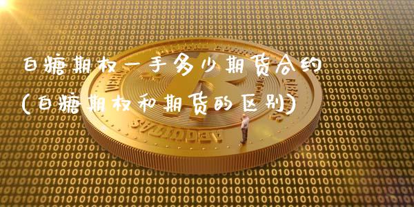 白糖期权一手多少期货合约(白糖期权和期货的区别)_https://www.xmqjcw.com_期货投资_第1张