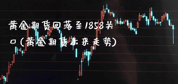 黄金期货回落至1858关口(黄金期货未来走势)_https://www.xmqjcw.com_期货百科_第1张