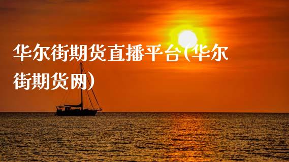 华尔街期货直播平台(华尔街期货网)_https://www.xmqjcw.com_期货投资_第1张