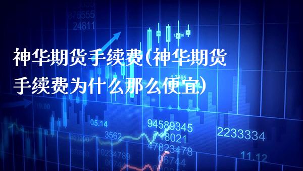神华期货手续费(神华期货手续费为什么那么便宜)_https://www.xmqjcw.com_期货百科_第1张