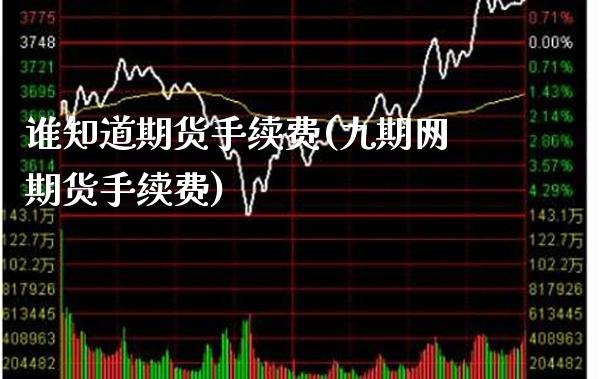 谁知道期货手续费(九期网期货手续费)_https://www.xmqjcw.com_股票投资_第1张