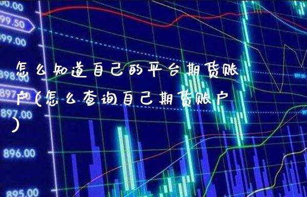 怎么知道自己的平台期货账户(怎么查询自己期货账户)_https://www.xmqjcw.com_股票投资_第1张