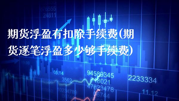 期货浮盈有扣除手续费(期货逐笔浮盈多少够手续费)_https://www.xmqjcw.com_期货开户_第1张