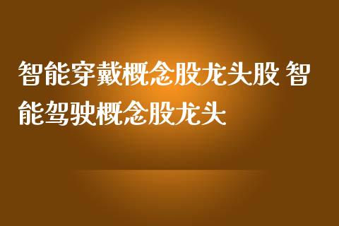 智能穿戴概念股龙头股 智能驾驶概念股龙头_https://www.xmqjcw.com_股票投资_第1张